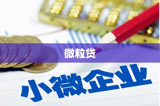 苓雅微粒贷