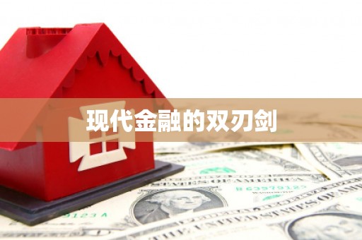 苓雅现代金融的双刃剑
