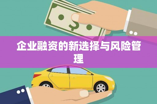 苓雅企业融资的新选择与风险管理