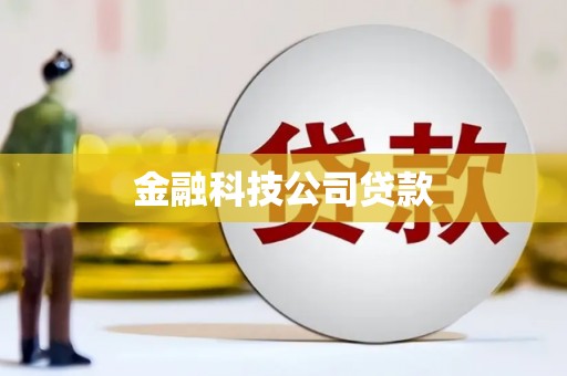苓雅金融科技公司贷款