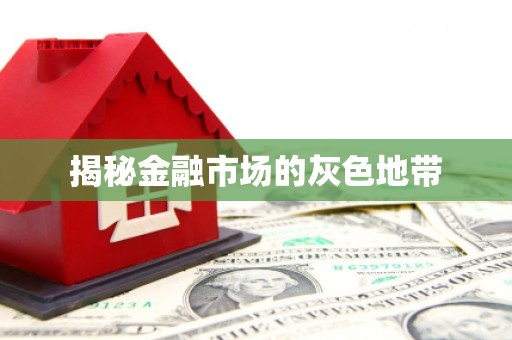苓雅揭秘金融市场的灰色地带
