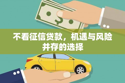 苓雅不看征信贷款，机遇与风险并存的选择