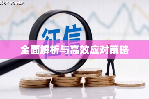苓雅全面解析与高效应对策略