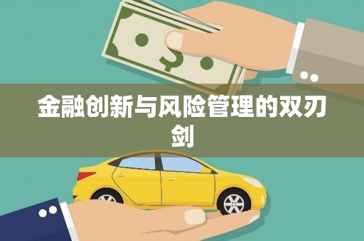 苓雅金融创新与风险管理的双刃剑