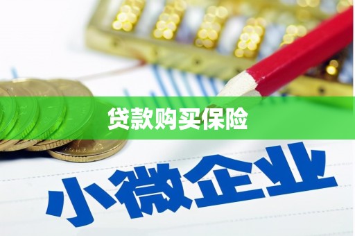 苓雅贷款购买保险