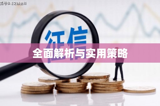 苓雅全面解析与实用策略