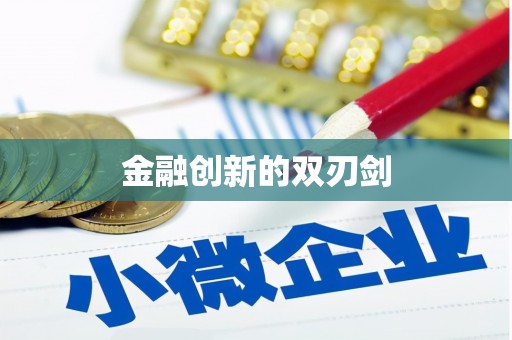 苓雅金融创新的双刃剑