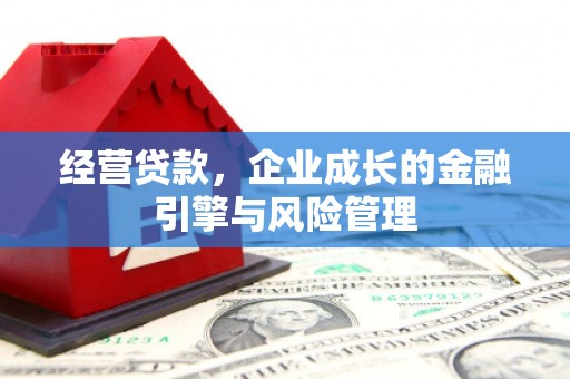 苓雅经营贷款，企业成长的金融引擎与风险管理