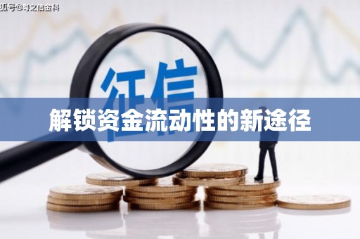 苓雅解锁资金流动性的新途径