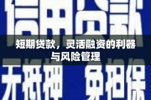苓雅短期贷款，灵活融资的利器与风险管理