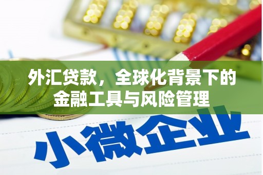 苓雅外汇贷款，全球化背景下的金融工具与风险管理