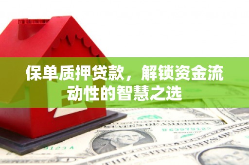 苓雅保单质押贷款，解锁资金流动性的智慧之选